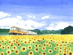 風景イラスト、景色イラスト／夏の向日葵畑と電車イラスト