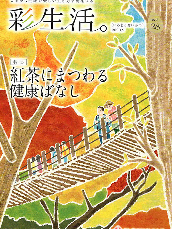 冊子「彩生活。 vol.28」表紙イラスト,風景イラスト,景色イラスト,秋景色イラスト,紅葉,自然イラスト,旅,吊橋,日本の風景