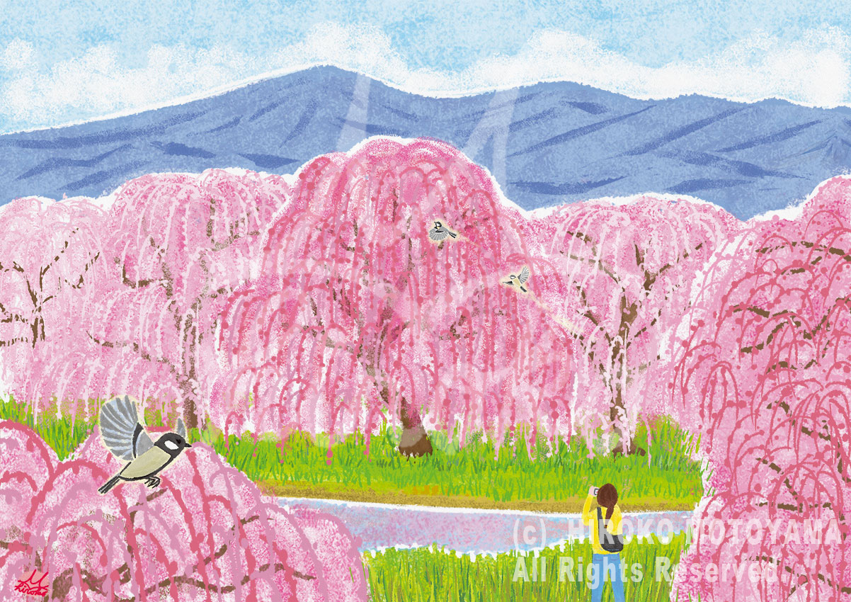 しだれ梅とシジュウカラを描いた、早春のオリジナル風景イラストです。凛と咲く梅の花に、小さな命の気配を添えました。